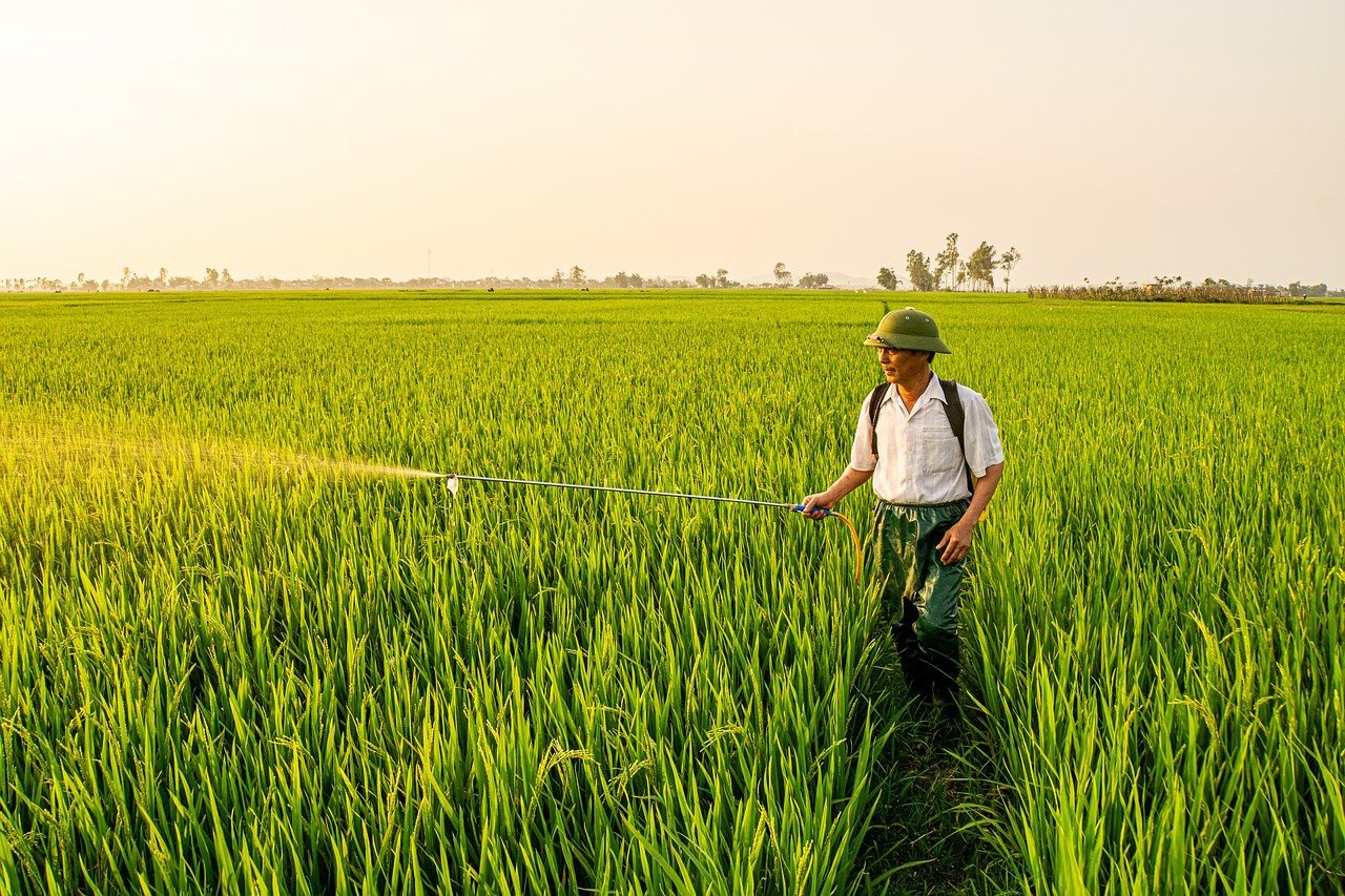 RTV (LEM – BA) = Representante Técnico de venda, 